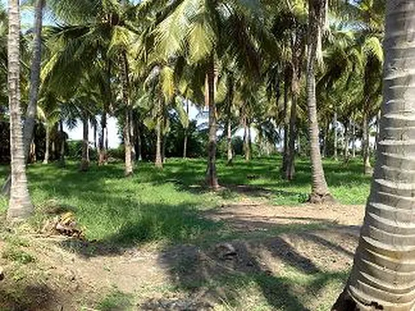 Venkatachalapathy Temple