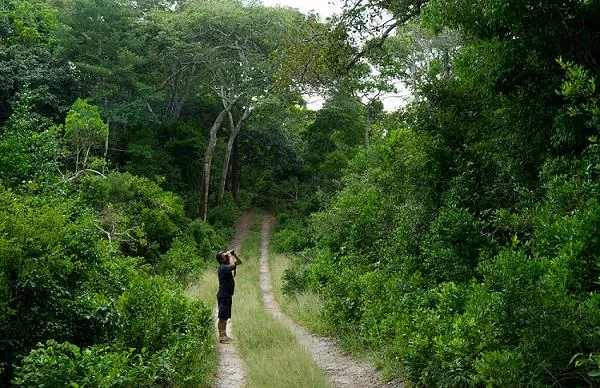 Parappa Wildlife Sanctuary