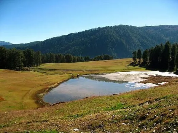 Patnitop
