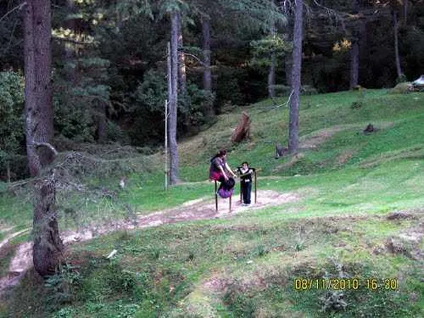 Patnitop