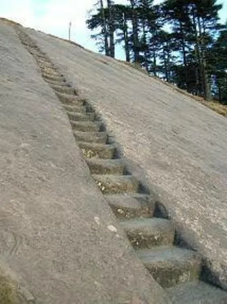 Patnitop
