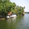 Backwaters of Kochi