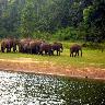 Thekkady