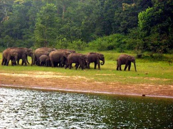 Periyar National Park