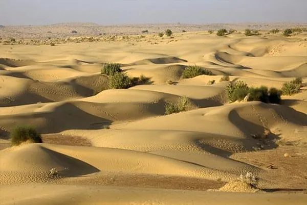 Sam Sand Dunes