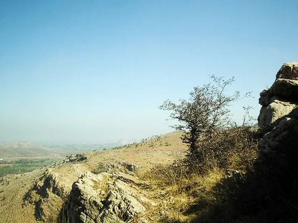 Ranthambore
