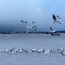 Triveni Sangam