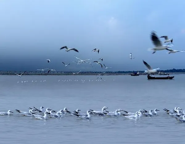 Triveni Sangam