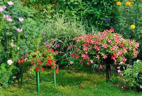Kanpur Gardens