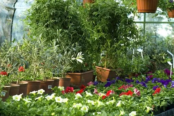 Botanical Garden