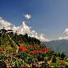 Kalimpong