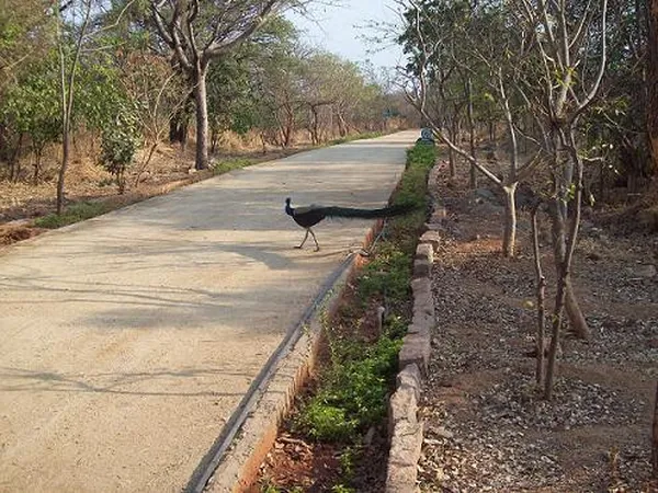 Hyderabad