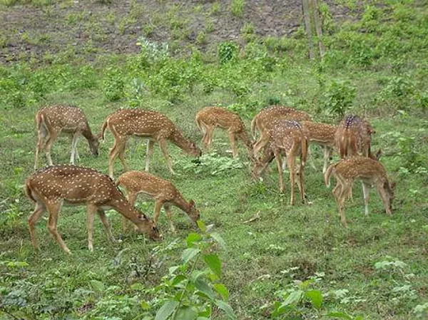 Hyderabad