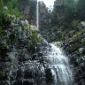 Talakona Waterfalls