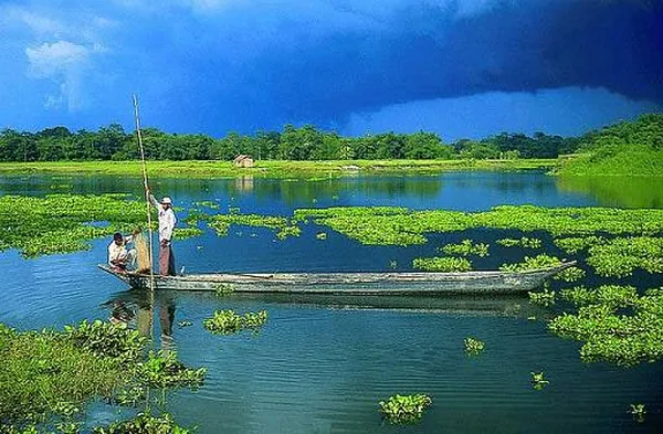 Majuli Island