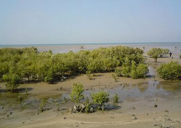 Marine National Park