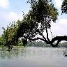 Hudco Lake