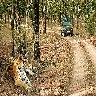 Bandhavgarh National Park