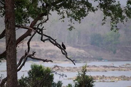 Panna National Park