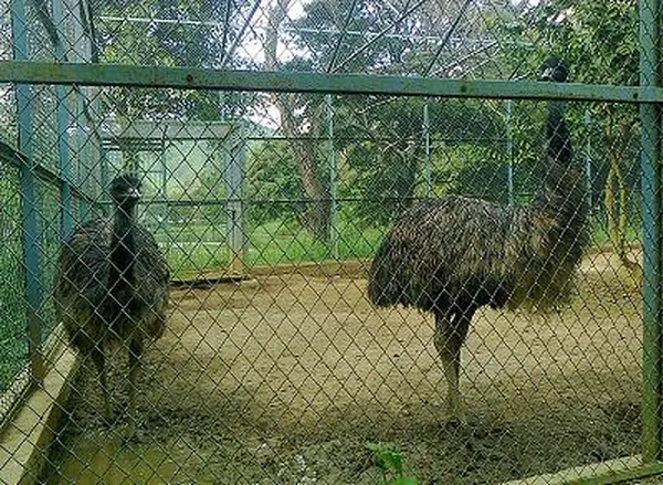 Manipur Zoological Gardens