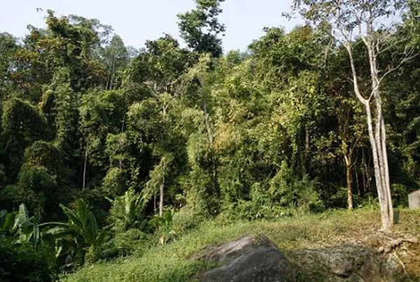 Dampa Wildlife Sanctuary