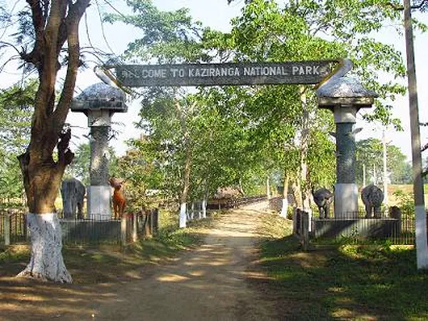 Kaziranga