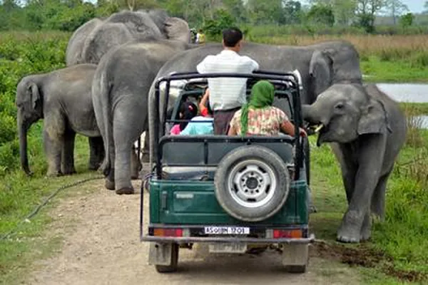 Kaziranga