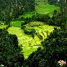 Coorg