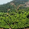 Coonoor