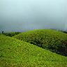 Vagamon