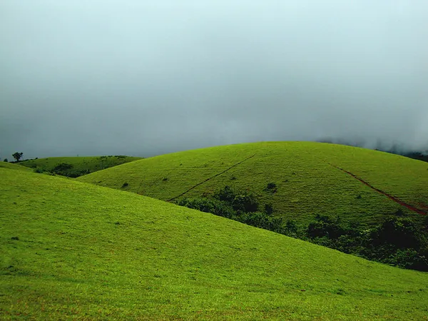 Vagamon Meadows