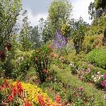 Floriculture Centre