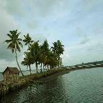 Veeranpuzha lake and Backwaters