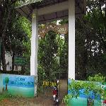 Mangalavanam Bird Sanctuary