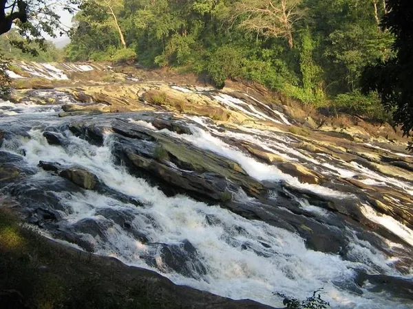 Vazhachal Forest Gardens