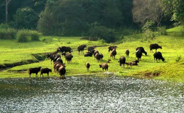 Shenduruny Wildlife Sanctuary