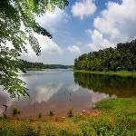 Sasthamcotta Lake