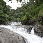 Kozhippara Falls