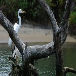 Kadalundi Bird Sanctuary