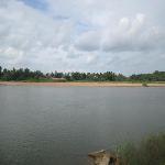 Bharathapuzha River