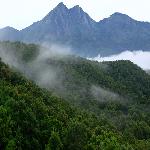 Silent Valley National Park