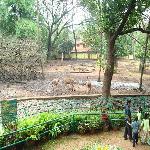 Thrissur Zoo