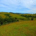 Vagamon Meadows