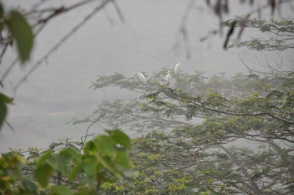 Hotels in Vagamon