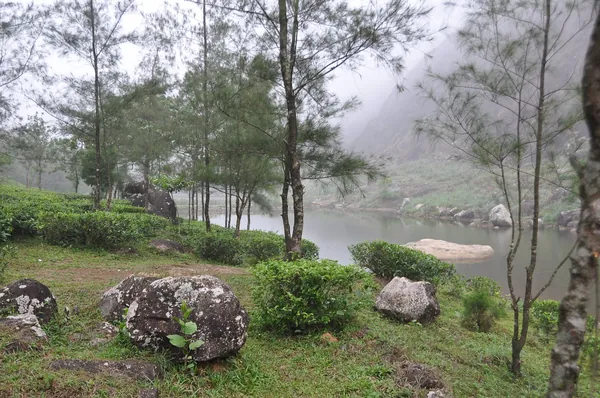 Ulipooni Wildlife Sanctuary