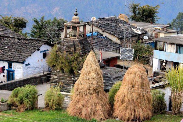 Hotels in Gangolihat