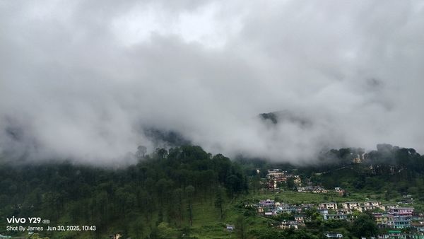 Hotels in Bhatwari