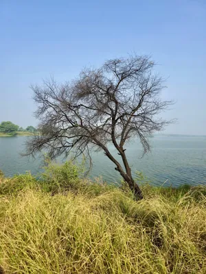 Thol Wildlife Sanctuary