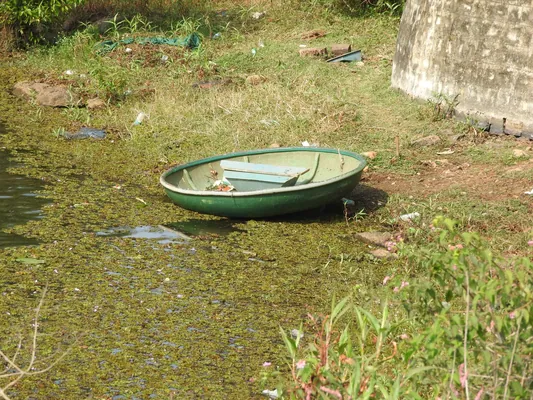 Yercaud Lake