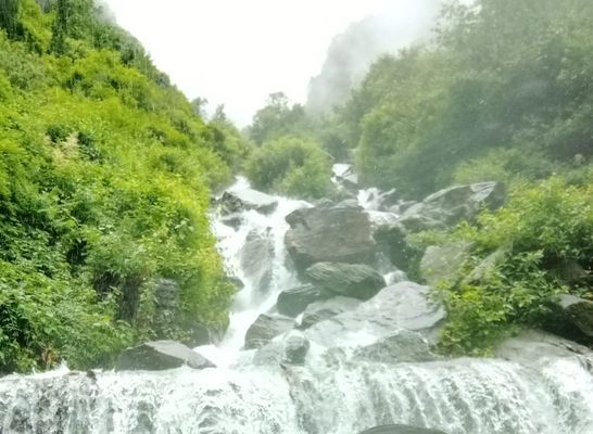 Rajaji National Park tourist destination